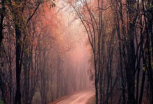 柔佛门将苏维奥雷：亚冠水平挺高，中日俱乐部实力都很强劲.