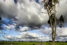 单赛季包揽MVP+得分王+60胜有多难？历史仅5人，乔丹一人独揽4次.